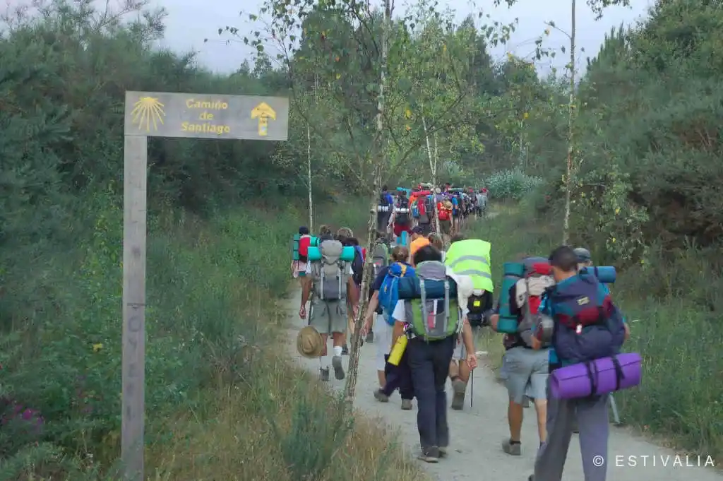 camino estivalia