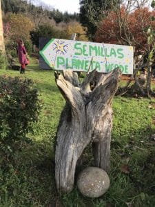 Planeta Verde